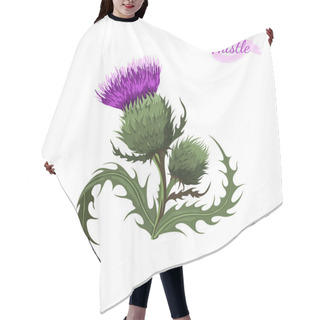 Personality  Milk Thistle Isolated Flower. Cartoon Wildflower. Wild Plant Icon. Hand Drawn Meadow Herb. Vector Illustration Hair Cutting Cape
