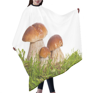 Personality  Three Mushrooms Isolated On A White Background. Hair Cutting Cape