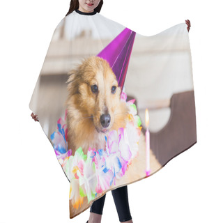 Personality  Happy Birthday Dog Looks To Candle Hair Cutting Cape