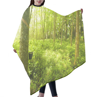 Personality  Rubber Tree Hair Cutting Cape