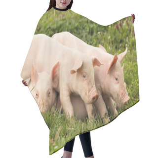 Personality  Cute Piglets Hair Cutting Cape