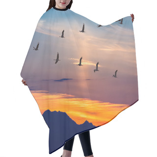 Personality  Migratory Birds Flying At Sunset Hair Cutting Cape