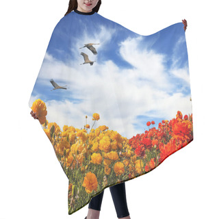 Personality  Three Large Birds Flying High In Cirrus Clouds Above Flower Fields Of Buttercups. Hair Cutting Cape