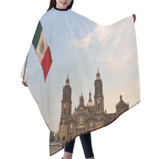 Personality  Big Mexican Flag On Zocalo   Hair Cutting Cape