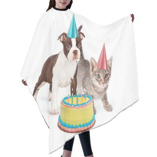 Personality  Puppy And Kitten With Lit Candles Hair Cutting Cape