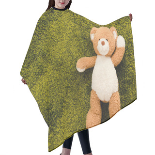 Personality  Top View Of Plush Brown Bear On Green Soft Carpet Hair Cutting Cape