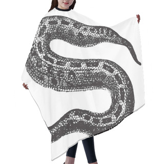 Personality  Puff Adder Is A Venomous Viper Species Found In Savannah And Grasslands From Morocco, Vintage Line Drawing Or Engraving Illustration. Hair Cutting Cape