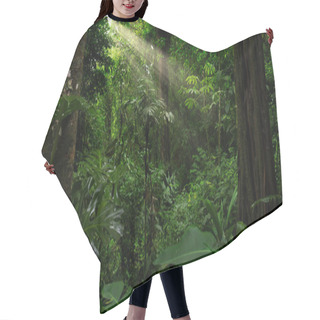 Personality  Tropical Forest With A Tree On The Background Of A Forest  Hair Cutting Cape