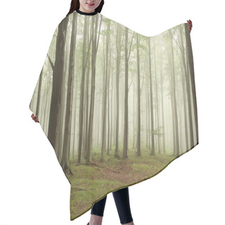 Personality  Misty Beech Forest Hair Cutting Cape