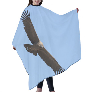 Personality  Condor With Spread Wings Hair Cutting Cape