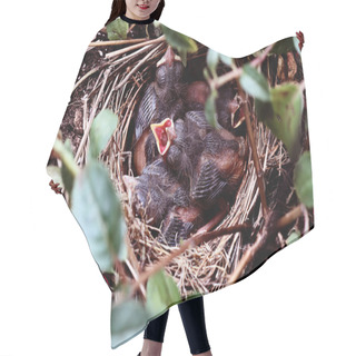Personality  Baby Birds In A Nest Hair Cutting Cape