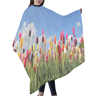 Personality  Panorama Tulip Field Hair Cutting Cape