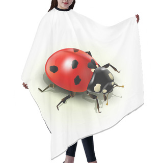 Personality  Vector Ladybug, Isolated On White Background Hair Cutting Cape