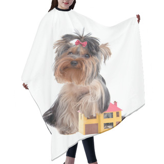 Personality  Watchdog Hair Cutting Cape