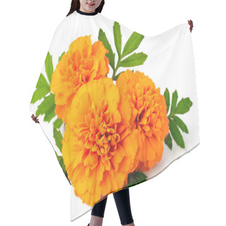 Personality  Fresh Marigold Flowers Isolated On The White Background Hair Cutting Cape