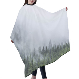 Personality  Forest In Mist, Low Clouds In Conifers Hair Cutting Cape