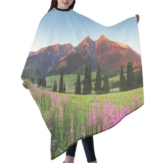 Personality  Beauty Mountain Panorama With Flowers - Slovakia Hair Cutting Cape