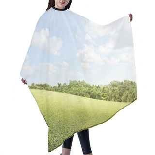 Personality  Green Grass Field With Trees  Hair Cutting Cape