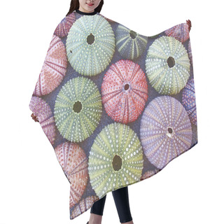 Personality  Colorful Sea Urchins On Wet Sand Beach Hair Cutting Cape