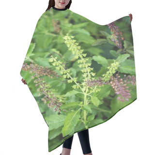 Personality  Holy Basil Hair Cutting Cape
