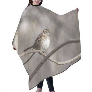 Personality  House Sparrow On Branch Hair Cutting Cape