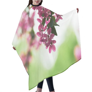 Personality  Close-up Shot Of Branch Of Pink Cherry Blossom On Green Natural Background Hair Cutting Cape