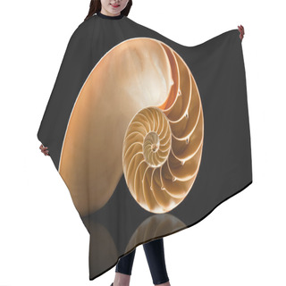Personality  Nautilus Shell On Black Background Hair Cutting Cape