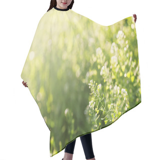 Personality  Summer Background, Grass At Sunset Hair Cutting Cape
