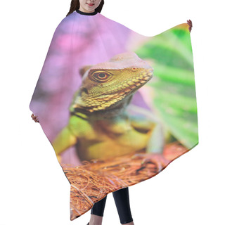 Personality  Lizard Look Hair Cutting Cape