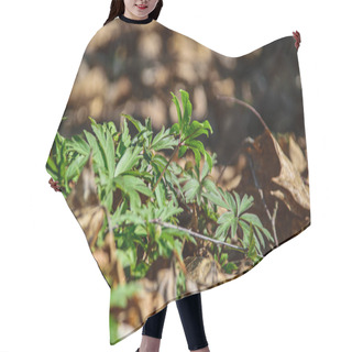 Personality  Green Grass Foliage Textures In Nature Hair Cutting Cape
