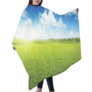 Personality  Field Of Spring Flowers And Perfect Sky Hair Cutting Cape
