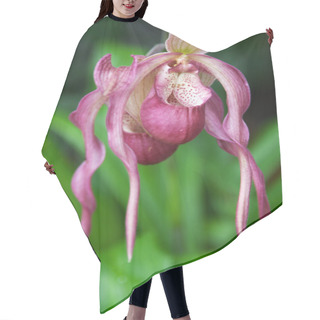 Personality  Exotic Rose Flower On Background Hair Cutting Cape