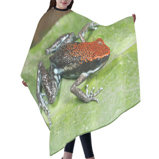 Personality  Poison Frog Hair Cutting Cape