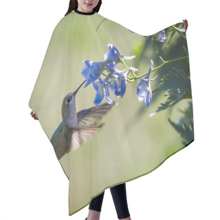 Personality  Hummingbird In Flowers Hair Cutting Cape