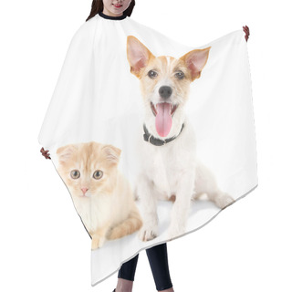 Personality  Cat And Dog Together Hair Cutting Cape