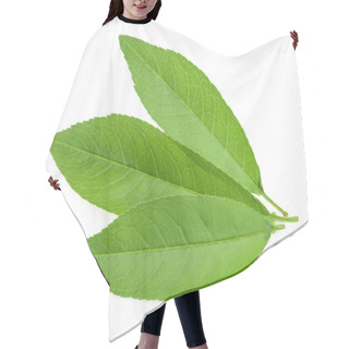 Personality  Peach Leaf Isolated On White Background Hair Cutting Cape