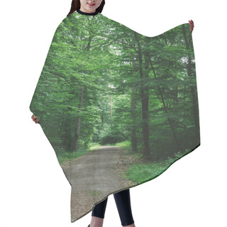 Personality  Path In Green Beautiful Forest In Wurzburg, Germany Hair Cutting Cape
