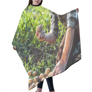 Personality  Cropped View Of Senior Man Holding Potatoes Near Corn Field  Hair Cutting Cape