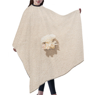 Personality  Top View Of Coral Lying On Sandy Beach Hair Cutting Cape