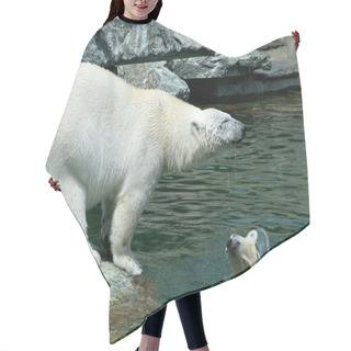 Personality  Polar Bear Hair Cutting Cape