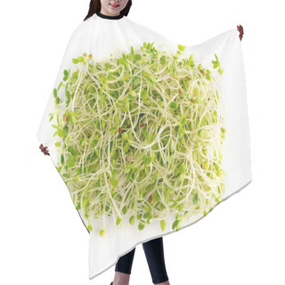 Personality  Red Clover Sprouts And Radish Sprouts On White Background Top View. Sprouted Vegetable Seeds For Raw Diet Food, Micro Green Healthy Eating Concept Hair Cutting Cape
