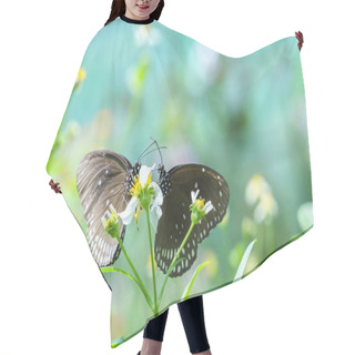 Personality  Colorful Butterflies Mating In Love On The Flowers In Warm Spring Weather Hair Cutting Cape