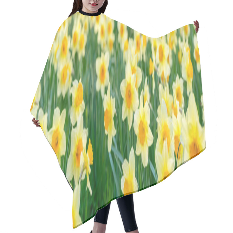 Personality  daffodils hair cutting cape
