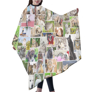 Personality  Collage Of Photos Of Pets And Birds Hair Cutting Cape