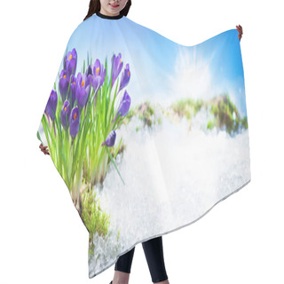 Personality  Crocus Flowers Blooming Through The Melting Snow Hair Cutting Cape