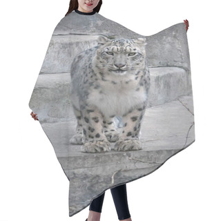 Personality  Snow Leopard In Winter In The Mountains Hair Cutting Cape