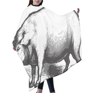 Personality  Swine Hair Cutting Cape