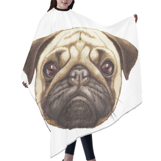 Personality  Portrait Of Pug Dog.  Hair Cutting Cape