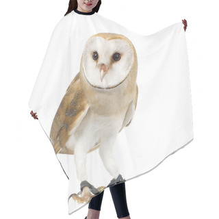 Personality  Common Barn Owl (4 Mounths) Hair Cutting Cape