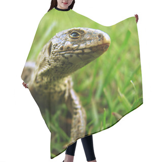 Personality  Lizards Hair Cutting Cape